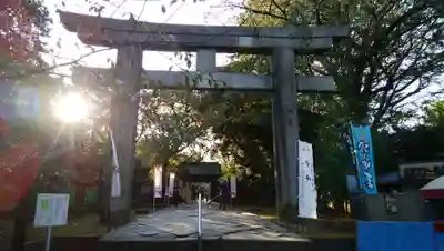 上野東照宮の鳥居