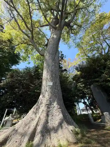 酒門神社(茨城県)