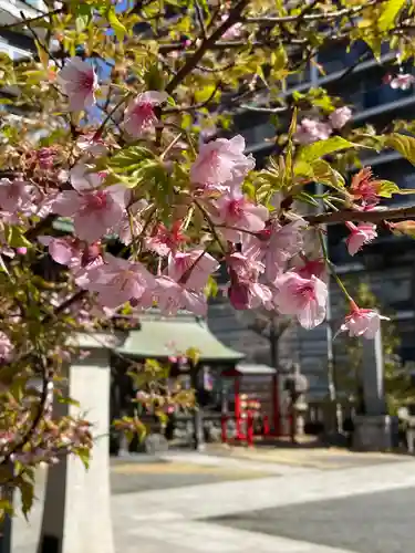 東神奈川熊野神社(神奈川県)