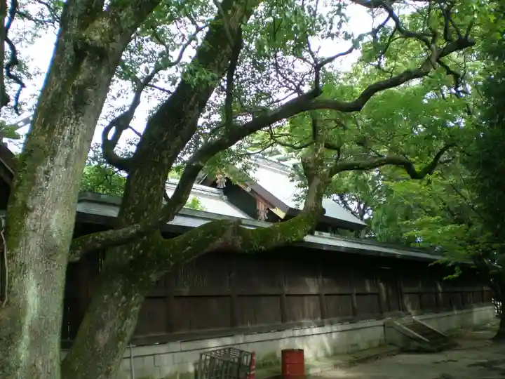 和泉國一之宮 大鳥大社のその他建物