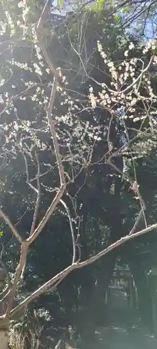 垂水神社(大阪府)