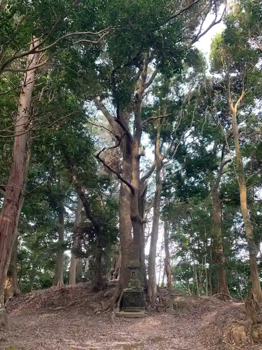 浅間神社の自然