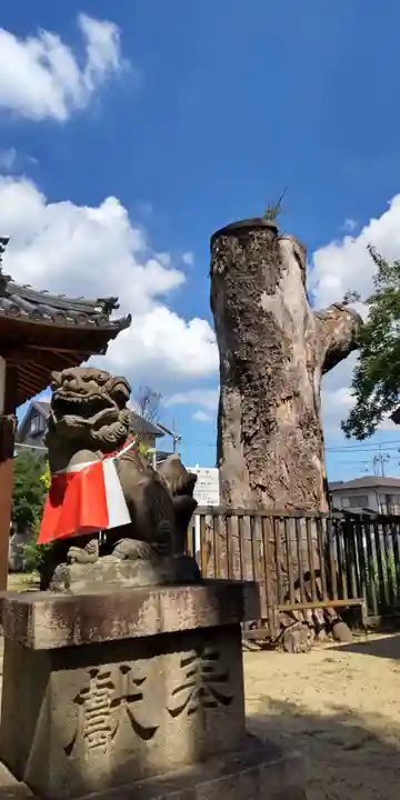 須賀神社(大阪府)
