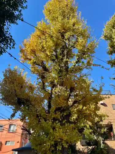 東貫森稲荷神社(東京都)
