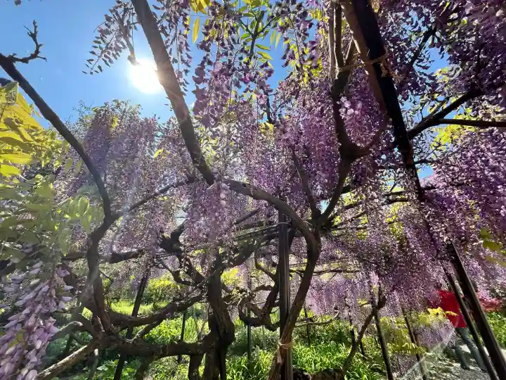 白毫寺熊野権現社(兵庫県)