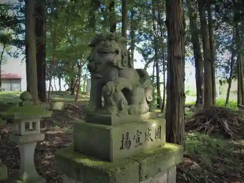 星宮神社の狛犬