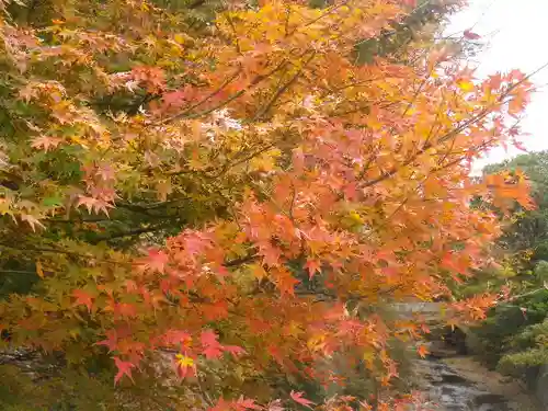 東勝寺跡の自然