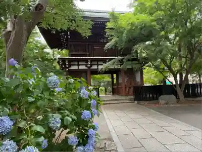 東漸寺(千葉県)