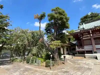 禪定院(東京都)