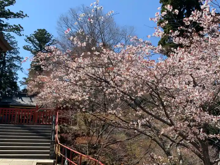 武蔵御嶽神社の自然