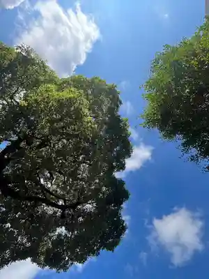 江島杉山神社(東京都)