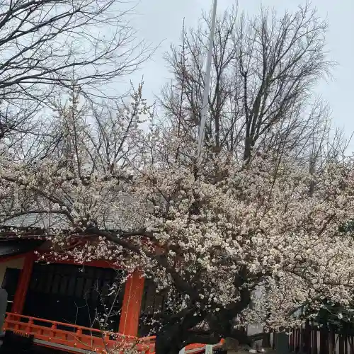 花園神社の{uncategorized: "未分類", other: "その他", undefined: "問題あり", building: "その他建物", grave: "お墓", sacred_gate: "鳥居", guardian: "狛犬", statue: "像", buddha: "仏像", history: "歴史", nature: "自然", garden: "庭園", animal: "動物", pagoda: "塔", temizu: "手水舎", mountain_gate: "山門・神門", sanctuary: "本殿・本堂", subordinate: "末社・摂社", art: "芸術", scenery: "景色", jizo: "地蔵", ema: "絵馬", goshuin: "御朱印", omikuji: "おみくじ", items: "授与品その他", amulet: "お守り", goshuincho: "御朱印帳", eats: "食事", festival: "お祭り", votive_dance: "神楽", shichigosan: "七五三参", wedding: "結婚式", experience: "体験その他", initially: "初詣", around: "周辺", anti_infection: "感染症対策"}