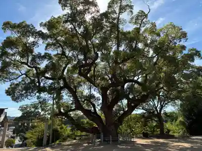 志筑神社(兵庫県)