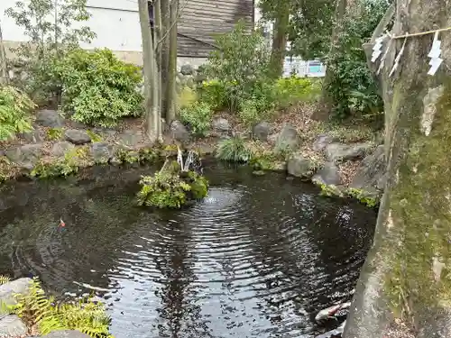 秩父今宮神社(埼玉県)