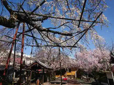 源空院(浅井寺)の自然