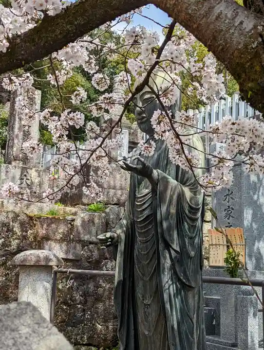 くろ谷 金戒光明寺(京都府)