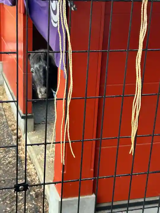神田神社(神田明神)(東京都)