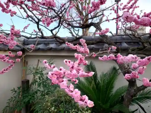 法応寺の{uncategorized: "未分類", other: "その他", undefined: "問題あり", building: "その他建物", grave: "お墓", sacred_gate: "鳥居", guardian: "狛犬", statue: "像", buddha: "仏像", history: "歴史", nature: "自然", garden: "庭園", animal: "動物", pagoda: "塔", temizu: "手水舎", mountain_gate: "山門・神門", sanctuary: "本殿・本堂", subordinate: "末社・摂社", art: "芸術", scenery: "景色", jizo: "地蔵", ema: "絵馬", goshuin: "御朱印", omikuji: "おみくじ", items: "授与品その他", amulet: "お守り", goshuincho: "御朱印帳", eats: "食事", festival: "お祭り", votive_dance: "神楽", shichigosan: "七五三参", wedding: "結婚式", experience: "体験その他", initially: "初詣", around: "周辺", anti_infection: "感染症対策"}