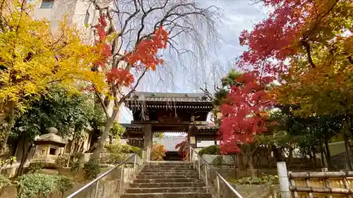 法輪寺の山門