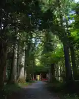 戸隠神社奥社(長野県)