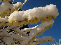 清水寺(栃木県)