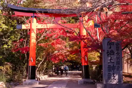 宇治上神社(京都府)