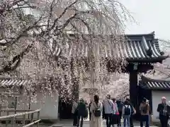 醍醐寺(京都府)