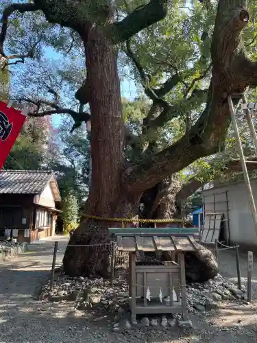 箕曲中松原神社(三重県)