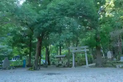 闘鶏神社の周辺