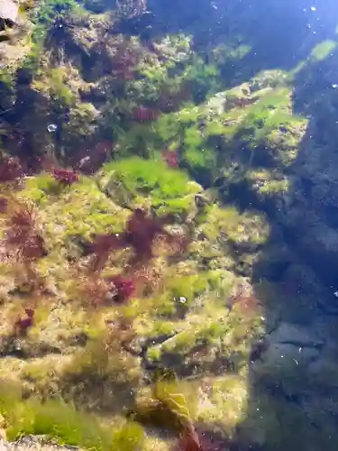 洲崎神社(千葉県)