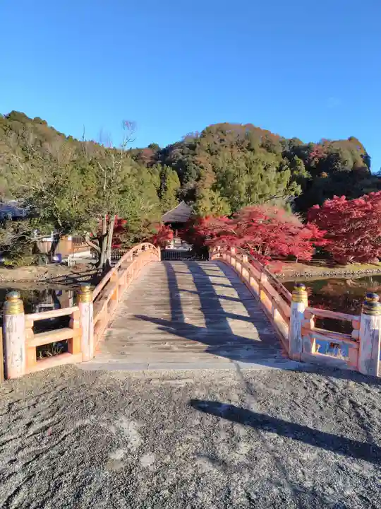 白水阿弥陀堂(福島県)