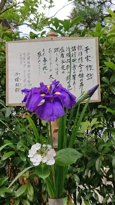 明月院(神奈川県)