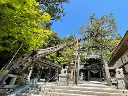 飛龍八幡宮(山口県)