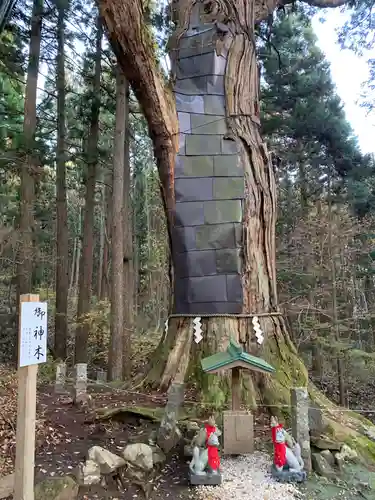 志和稲荷神社の自然