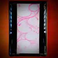 東京羽田 穴守稲荷神社(東京都)