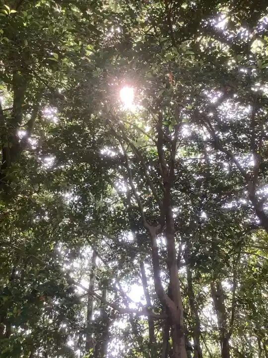 清洲山王宮 日吉神社の自然