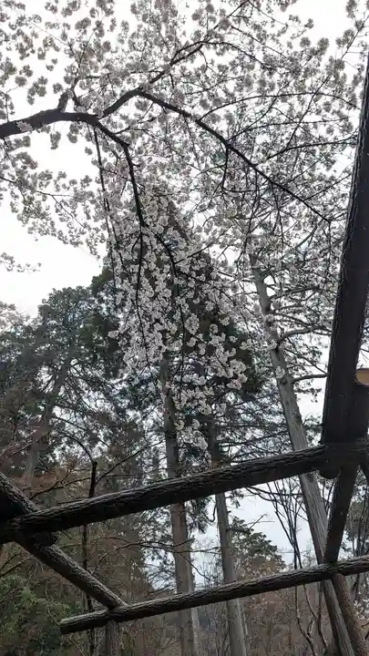 大原野神社(京都府)