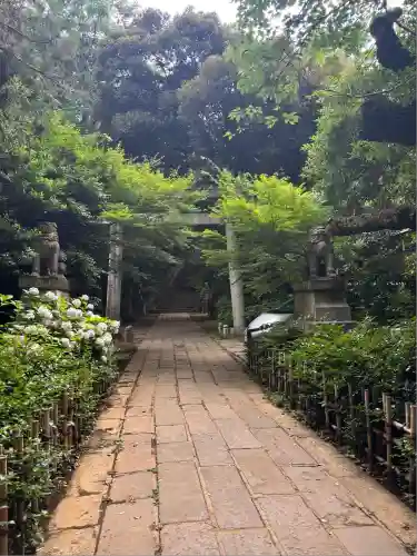 赤坂氷川神社(東京都)