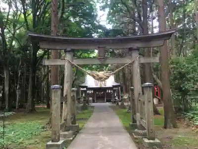 横浜八幡神社の鳥居