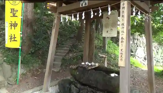 聖神社(埼玉県)