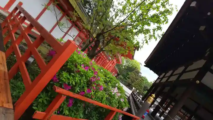 賀茂御祖神社(下鴨神社)(京都府)