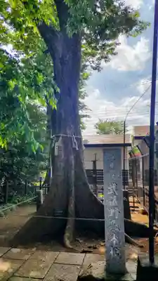 熊野宮(東京都)