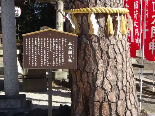 中野沼袋氷川神社の自然