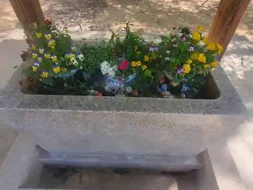 高山神社(群馬県)