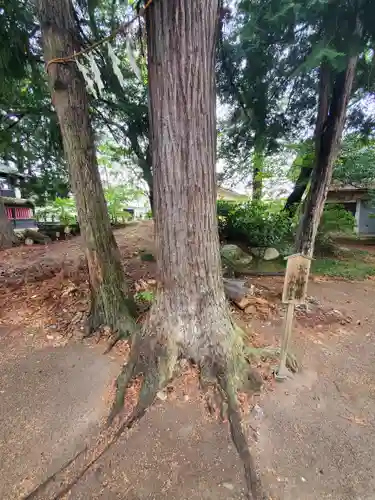 小舟神社(群馬県)