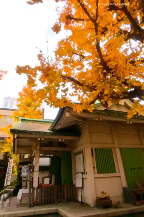 銀杏岡八幡神社(東京都)