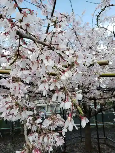 福蔵院(東京都)