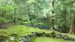 平泉寺白山神社(福井県)