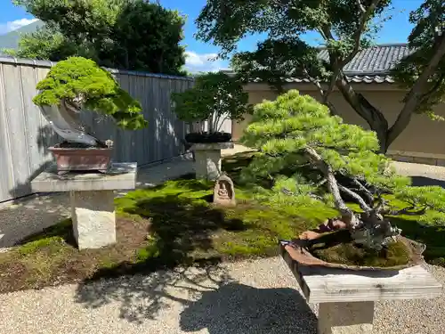 芳春院(京都府)