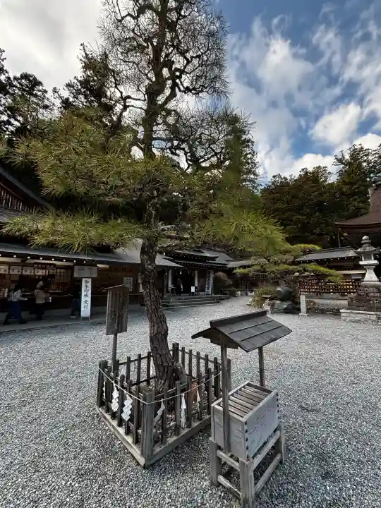 小國神社の{uncategorized: "未分類", other: "その他", undefined: "問題あり", building: "その他建物", grave: "お墓", sacred_gate: "鳥居", guardian: "狛犬", statue: "像", buddha: "仏像", history: "歴史", nature: "自然", garden: "庭園", animal: "動物", pagoda: "塔", temizu: "手水舎", mountain_gate: "山門・神門", sanctuary: "本殿・本堂", subordinate: "末社・摂社", art: "芸術", scenery: "景色", jizo: "地蔵", ema: "絵馬", goshuin: "御朱印", omikuji: "おみくじ", items: "授与品その他", amulet: "お守り", goshuincho: "御朱印帳", eats: "食事", festival: "お祭り", votive_dance: "神楽", shichigosan: "七五三参", wedding: "結婚式", experience: "体験その他", initially: "初詣", around: "周辺", anti_infection: "感染症対策"}